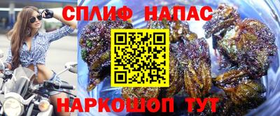 альфа пвп Гусев