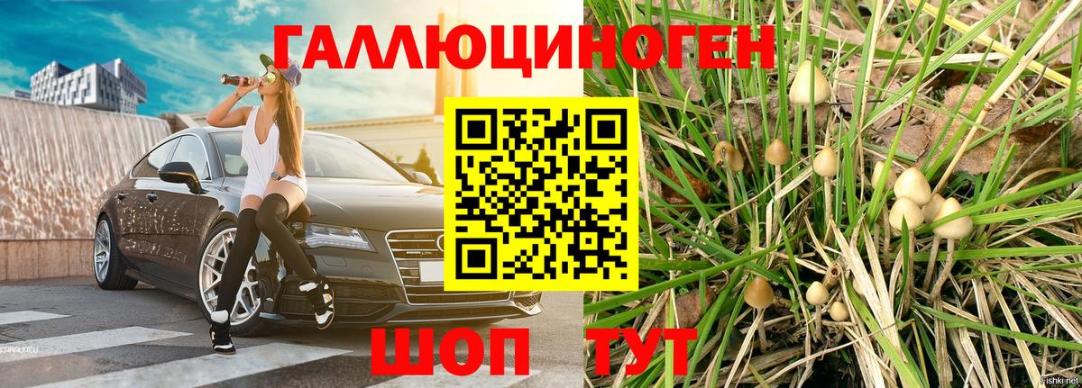 Галлюциногенные грибы мицелий  Вход с VPN  купить наркотик  Моздок  Галлюциногенные грибы Cubensis 